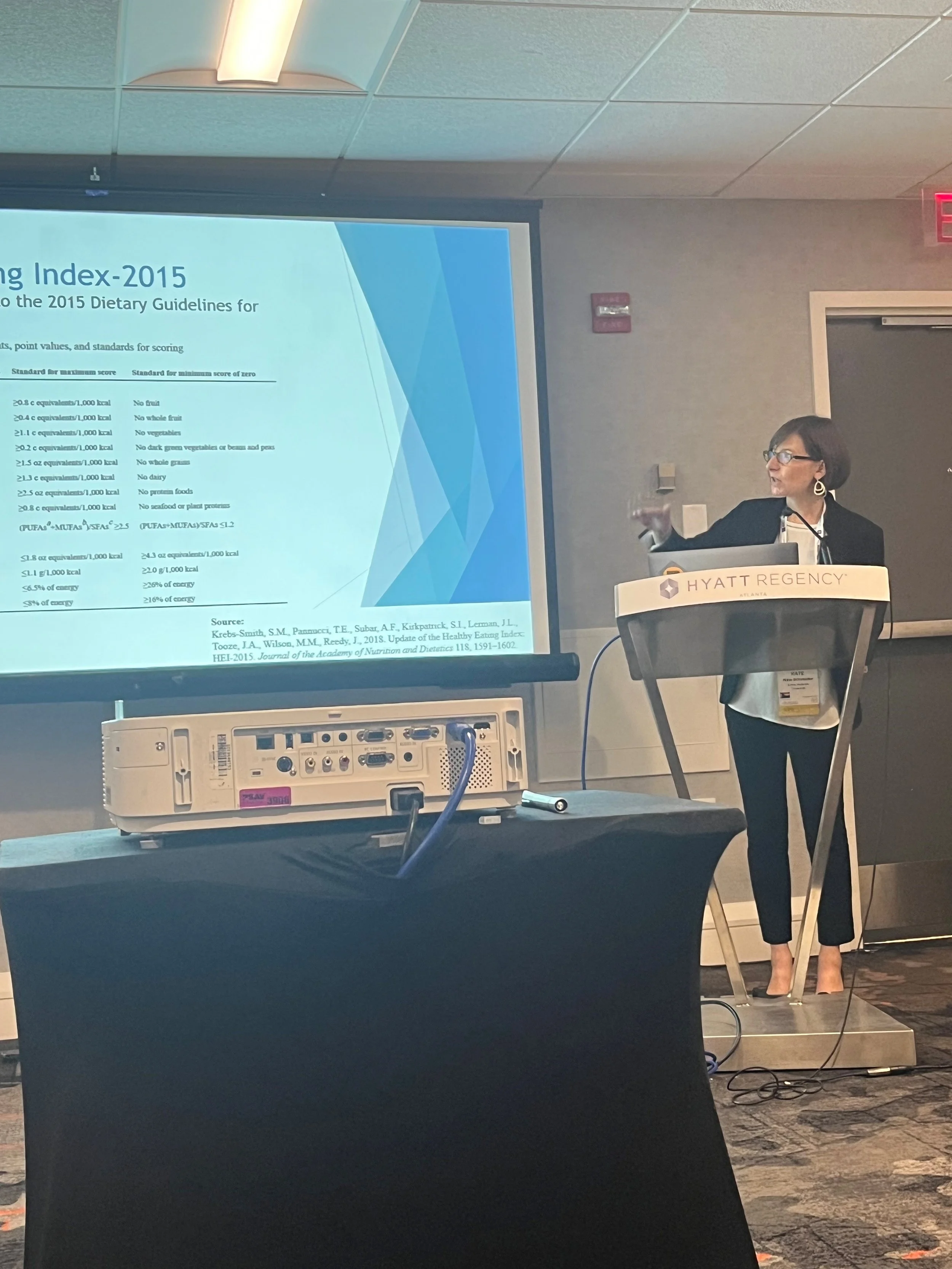 Kate Schneider Lecy presenting at a conference
