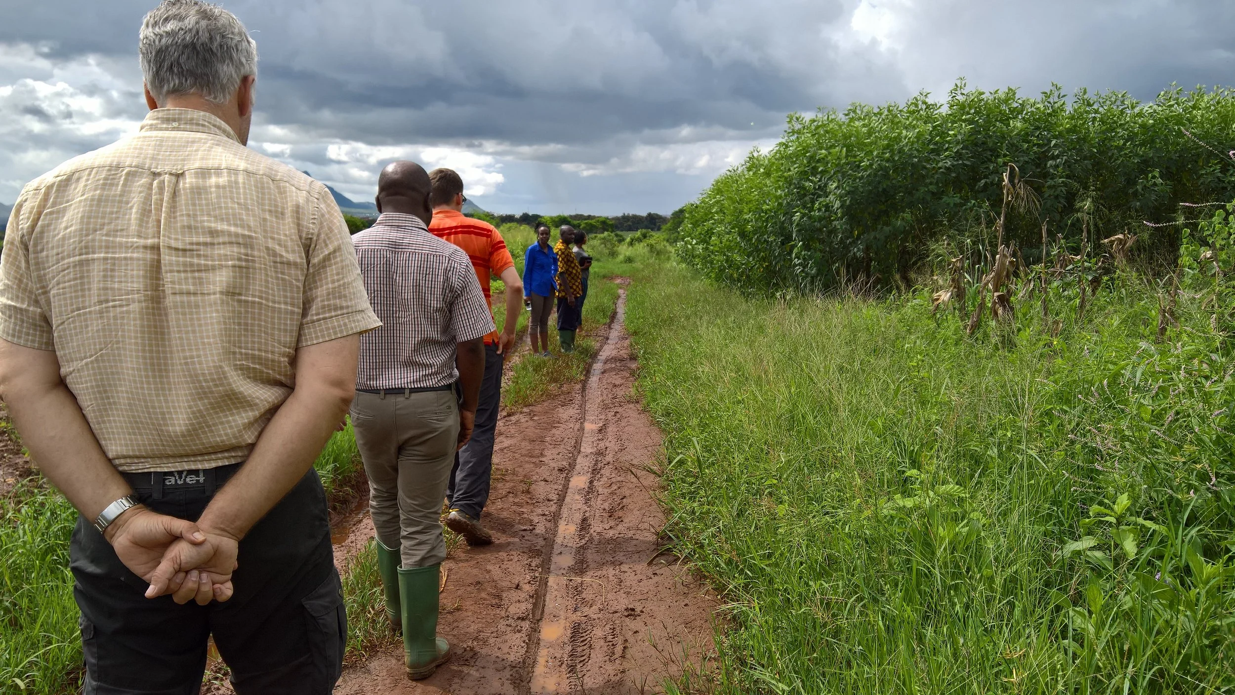 Economics of agrifood systems fieldwork