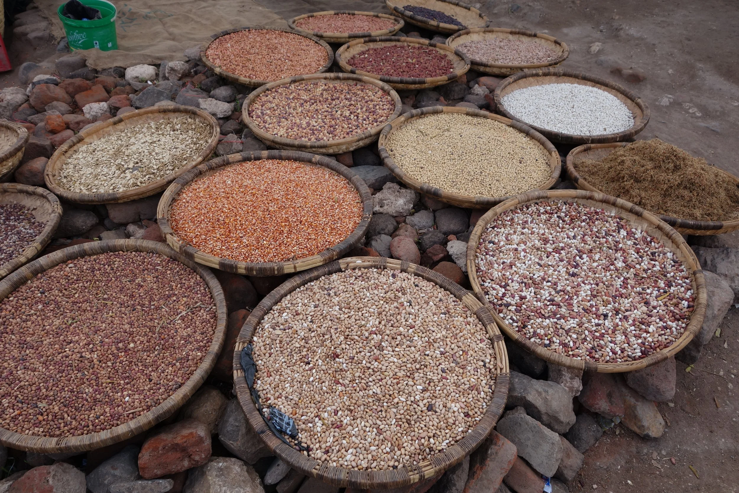 Equitable access to healthy diets fieldwork